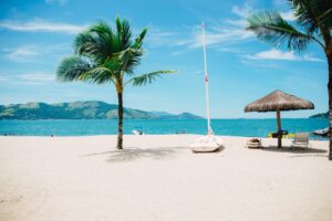Photo by Elizeu Dias on Unsplash