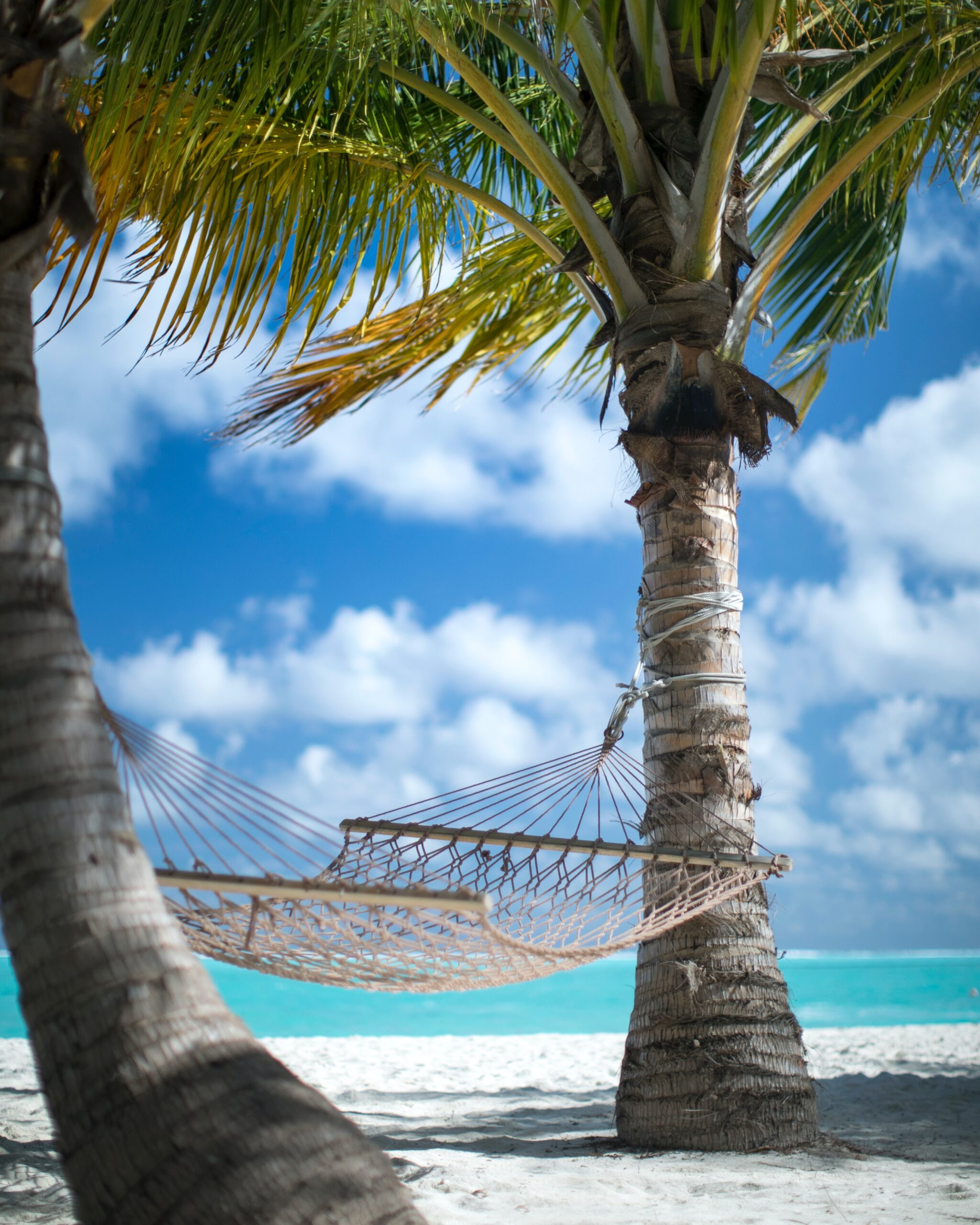 Photo by Mohamed Ajufaan on Unsplash
